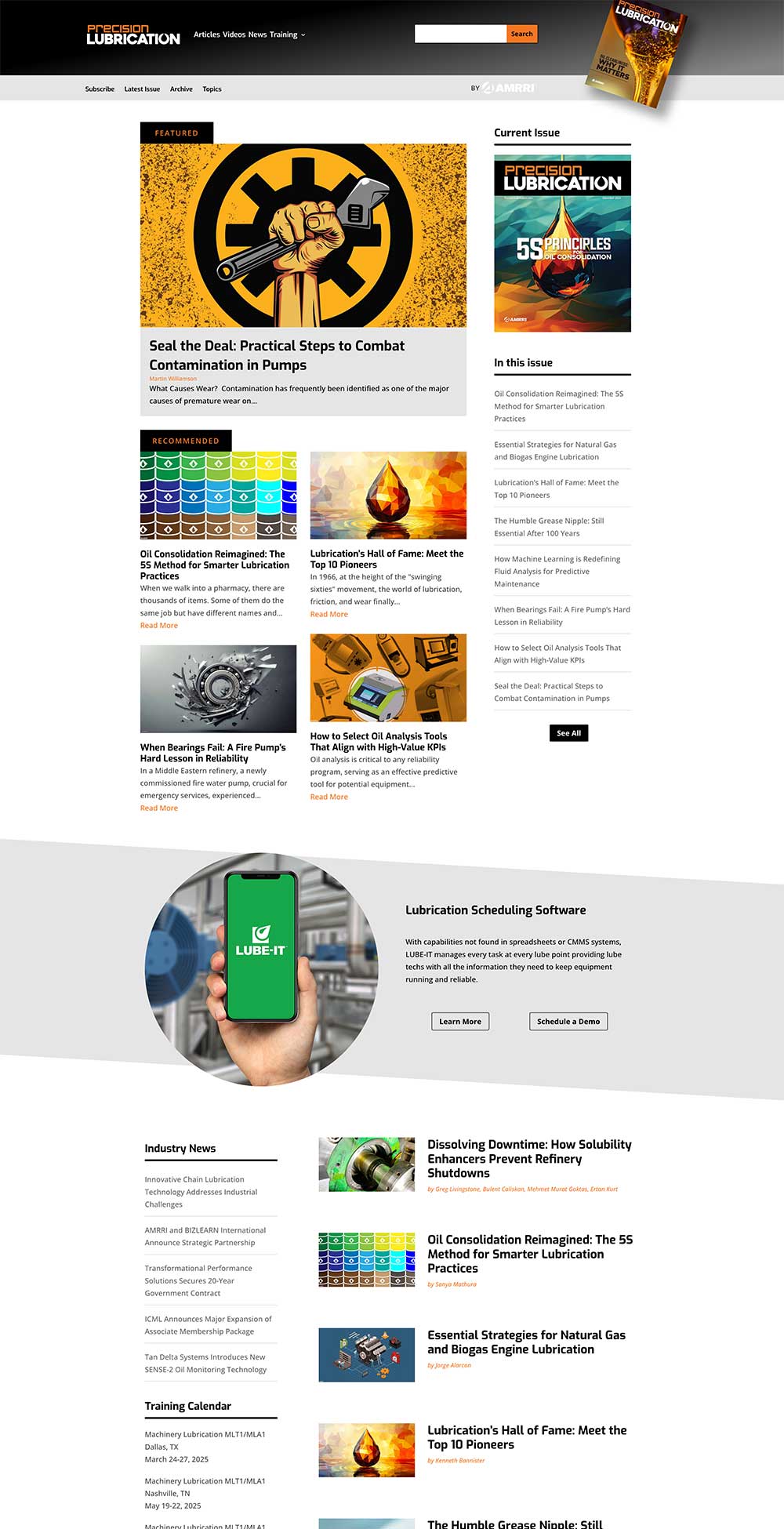 web-design-portfolio-plm